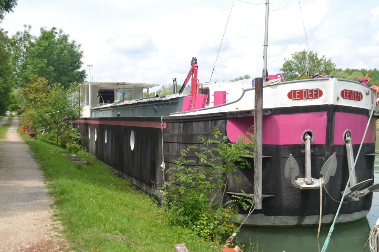 Peniche "Le Defi" Bed and Breakfast Marolles-sur-Seine Exteriör bild